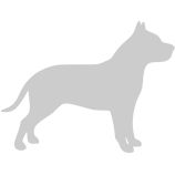 Dog Image
